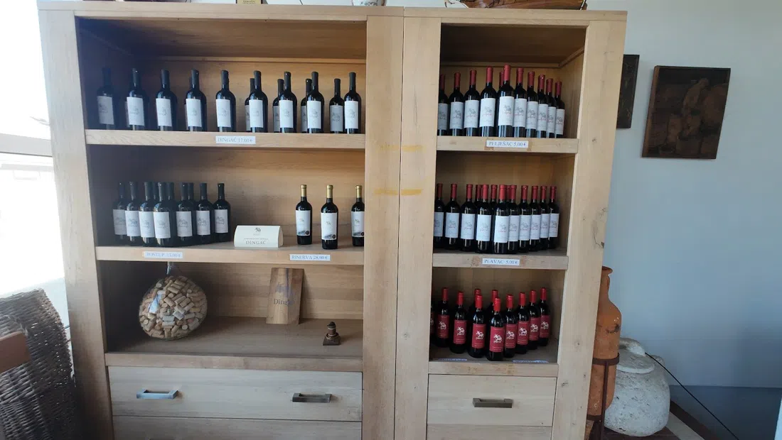 Vinarija Dingač (co-op cellar), Dubrovnik