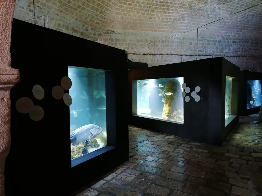 St. Johannes-festningen – Sjøfartsmuseet og Akvariet, Dubrovnik