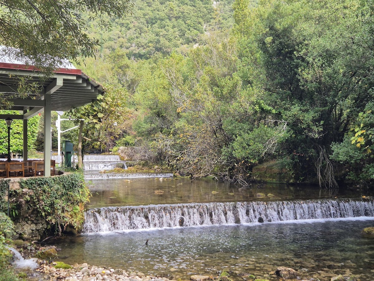 Konavoski Dvori — photo 6